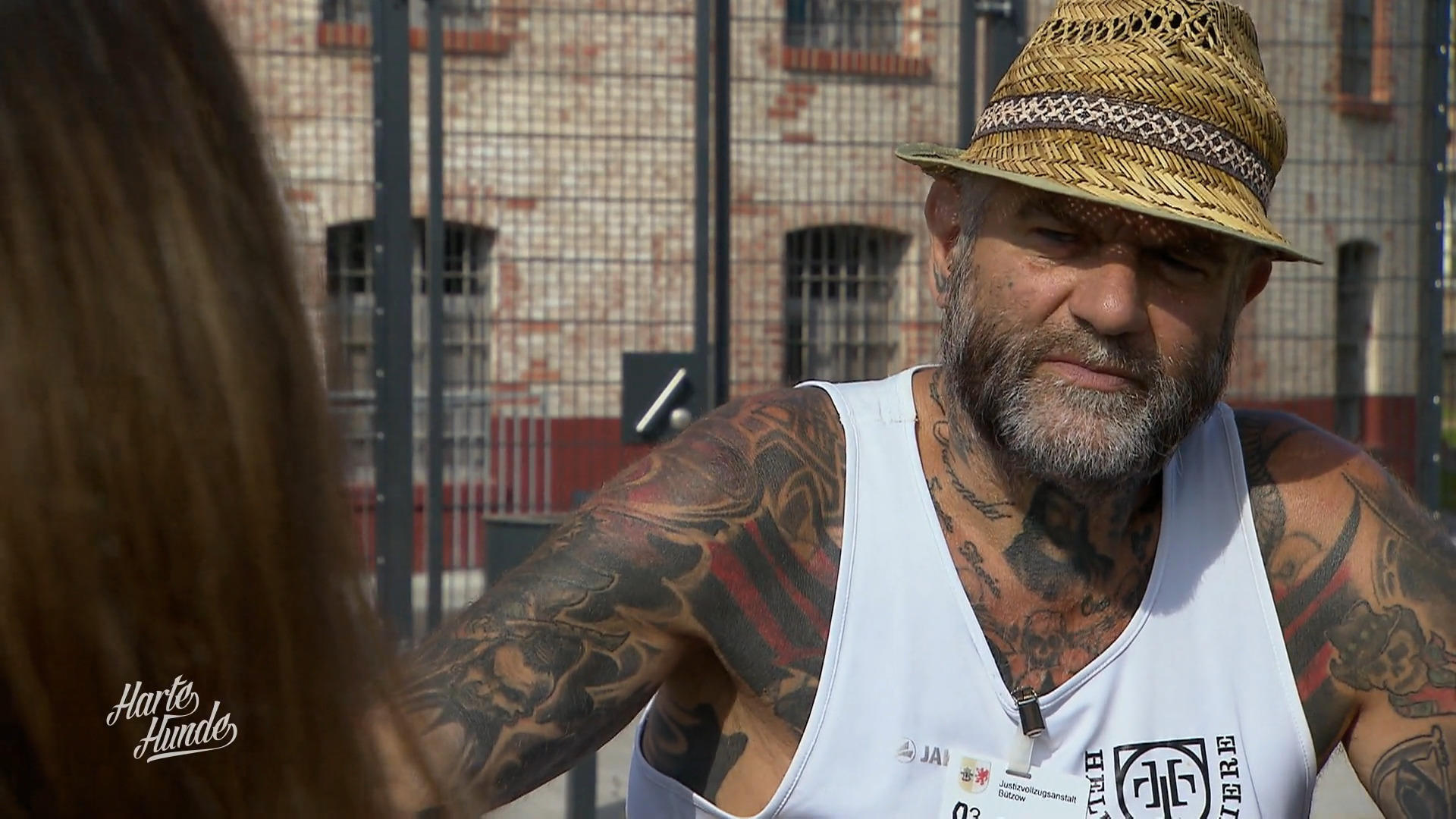 Katzen geben Claudia Struktur