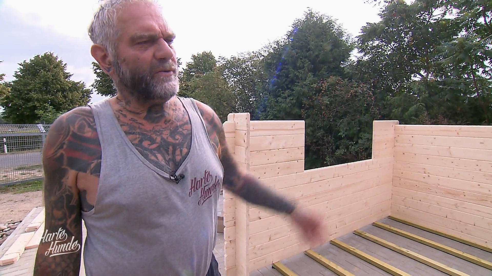 Das Katzenhaus muss neu gebaut werden