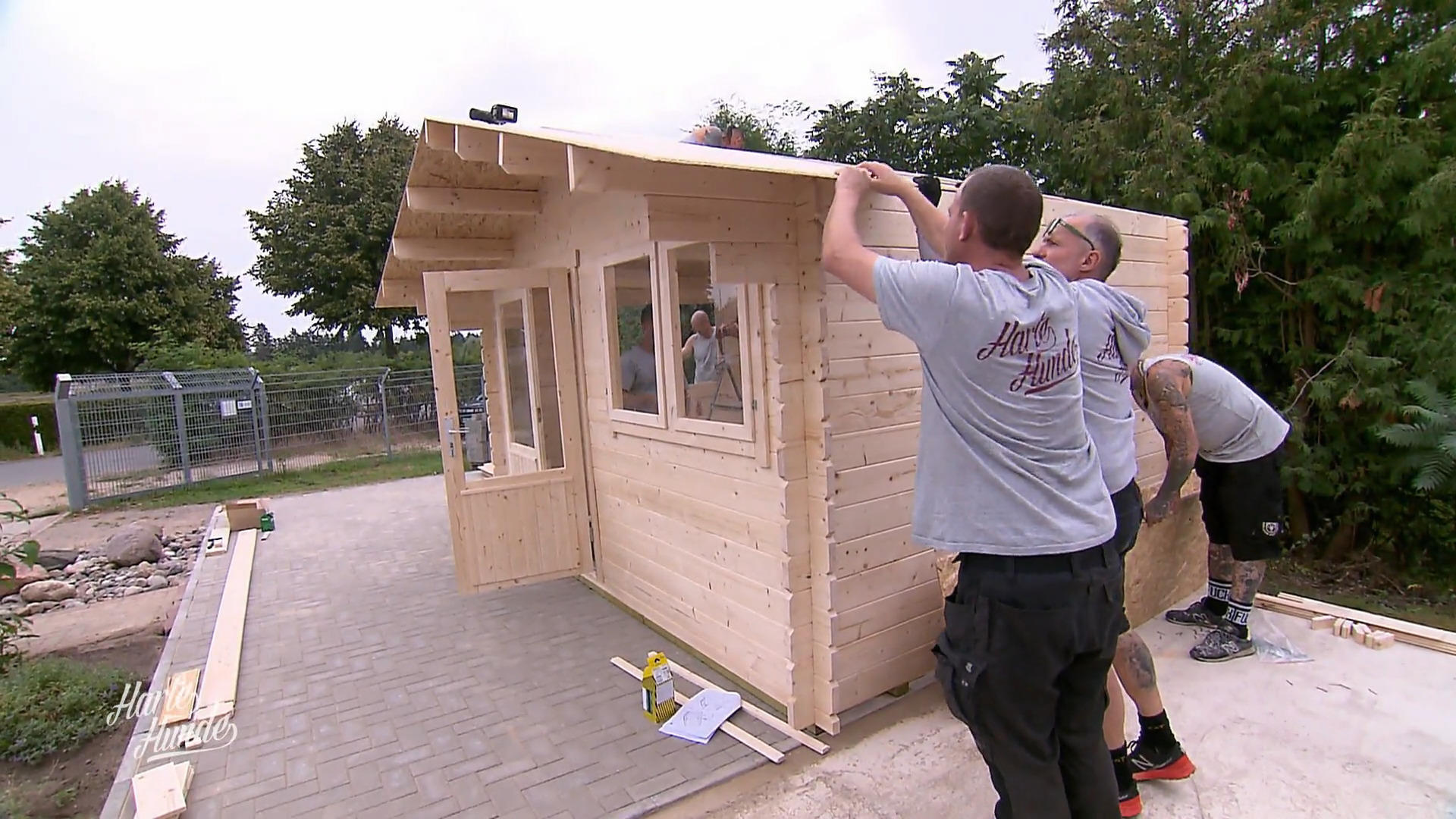 Das Katzenhaus muss fertig werden