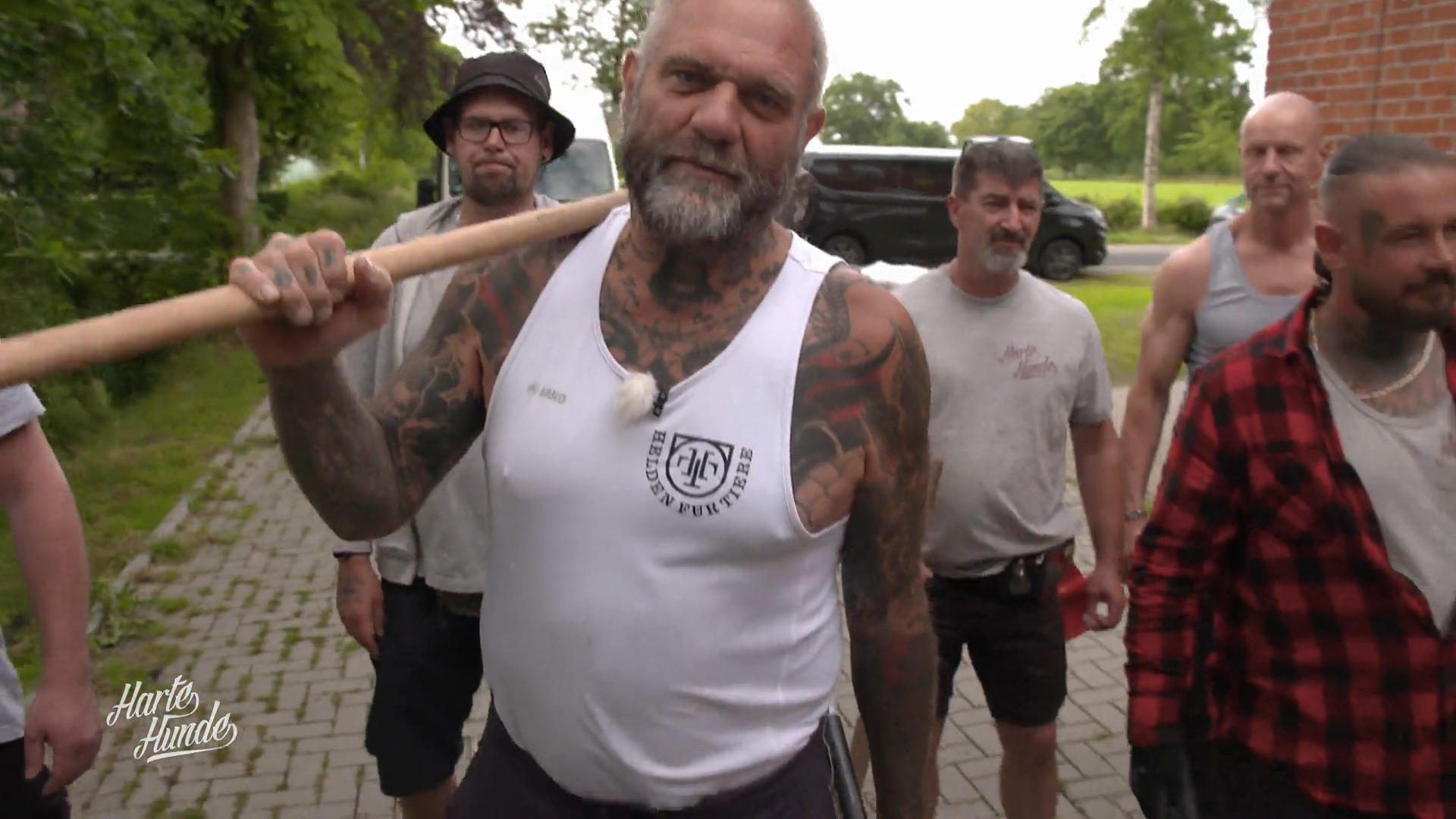 Startschuss bei 'Free Dogs'