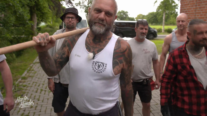 Startschuss bei 'Free Dogs'