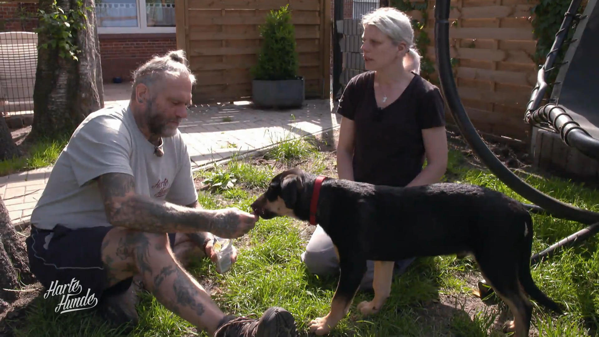 Vorbereitung auf sein neues Zuhause