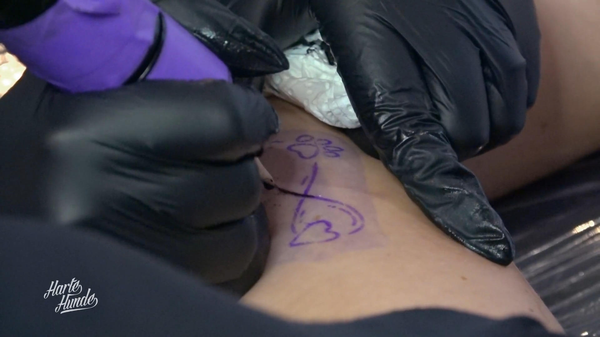 Tattoo-Aktion für Tiere in Not