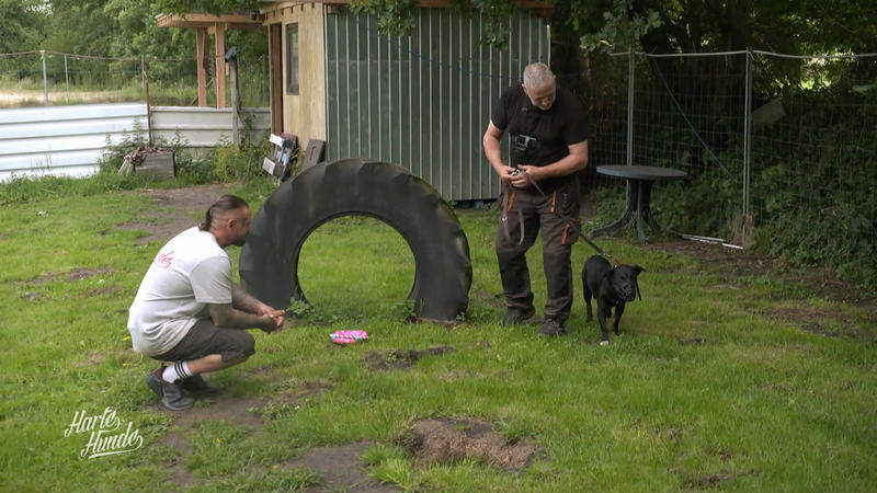 Klaus und Rüde Ruffy gegen die Angst