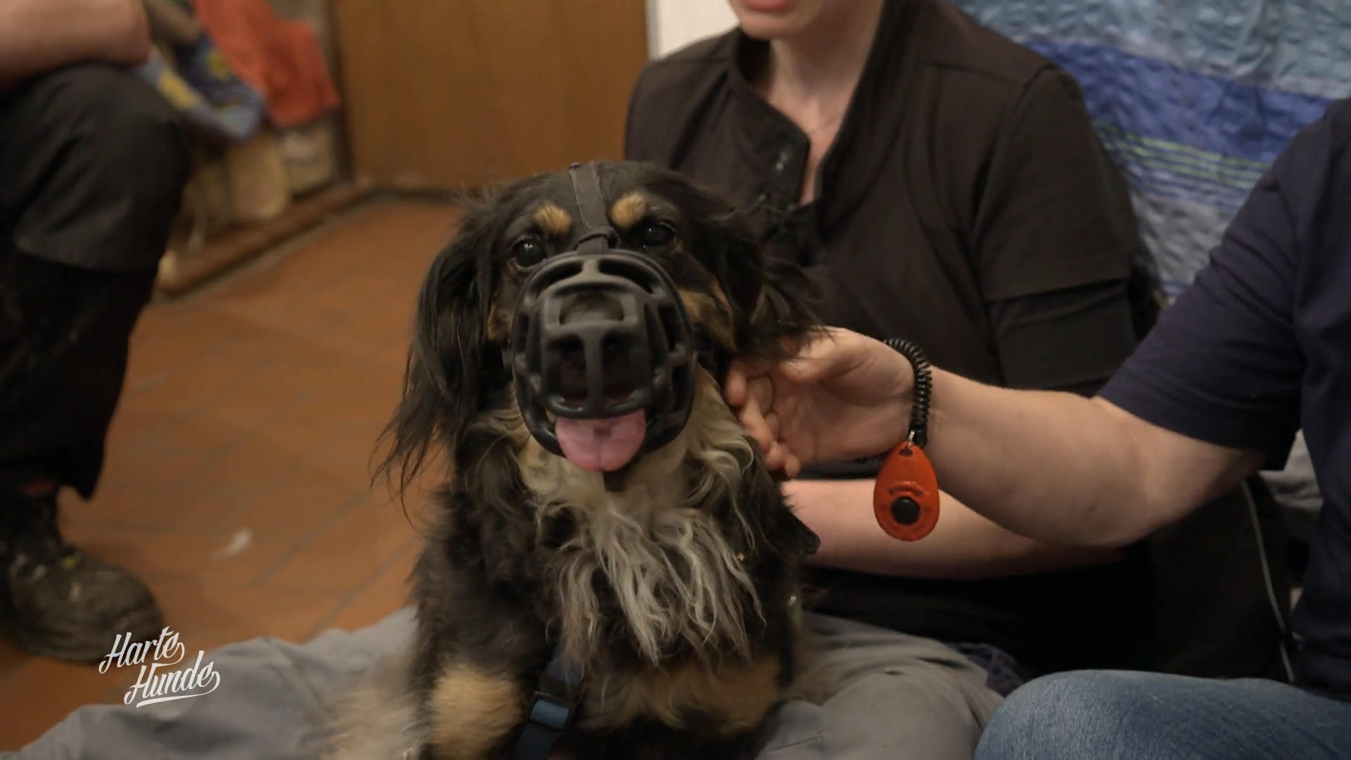 Alarmhund Michel muss ruhiger werden