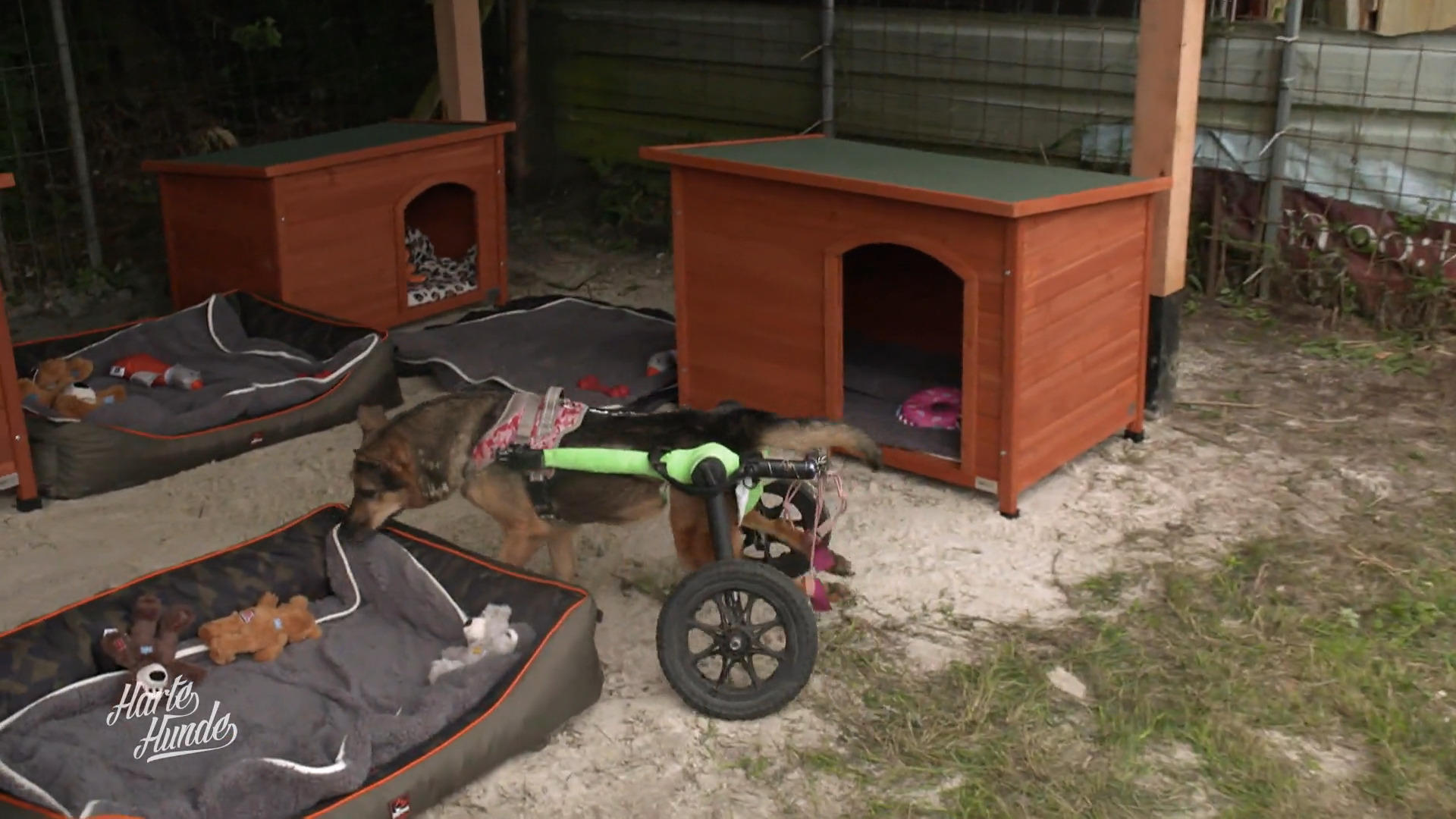 Finale auf der Trainingswiese