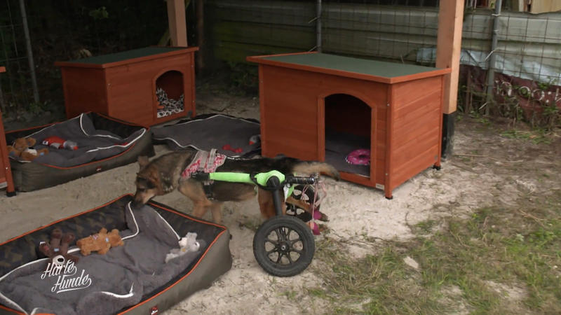 Finale auf der Trainingswiese