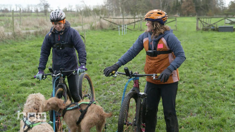 Zughundesport mit Weltmeisterin Jule Prins