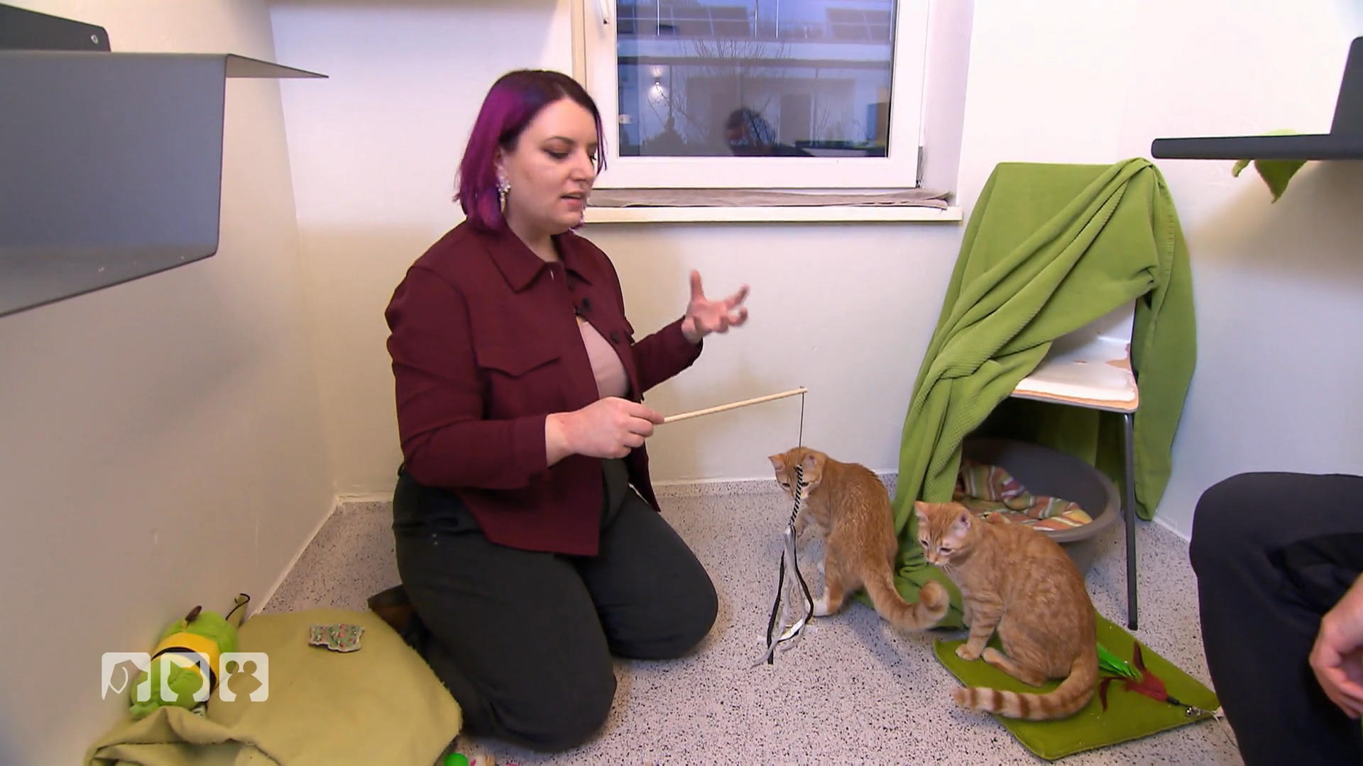 Coach Miriam macht die Katzen fit