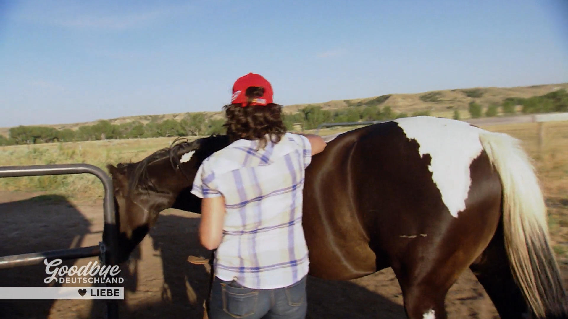 Siggi setzt alles auf Fredi