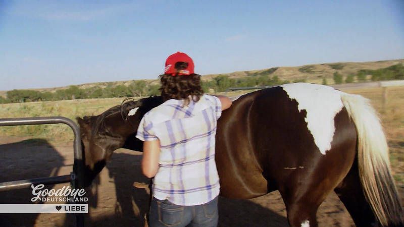 Siggi setzt alles auf Fredi