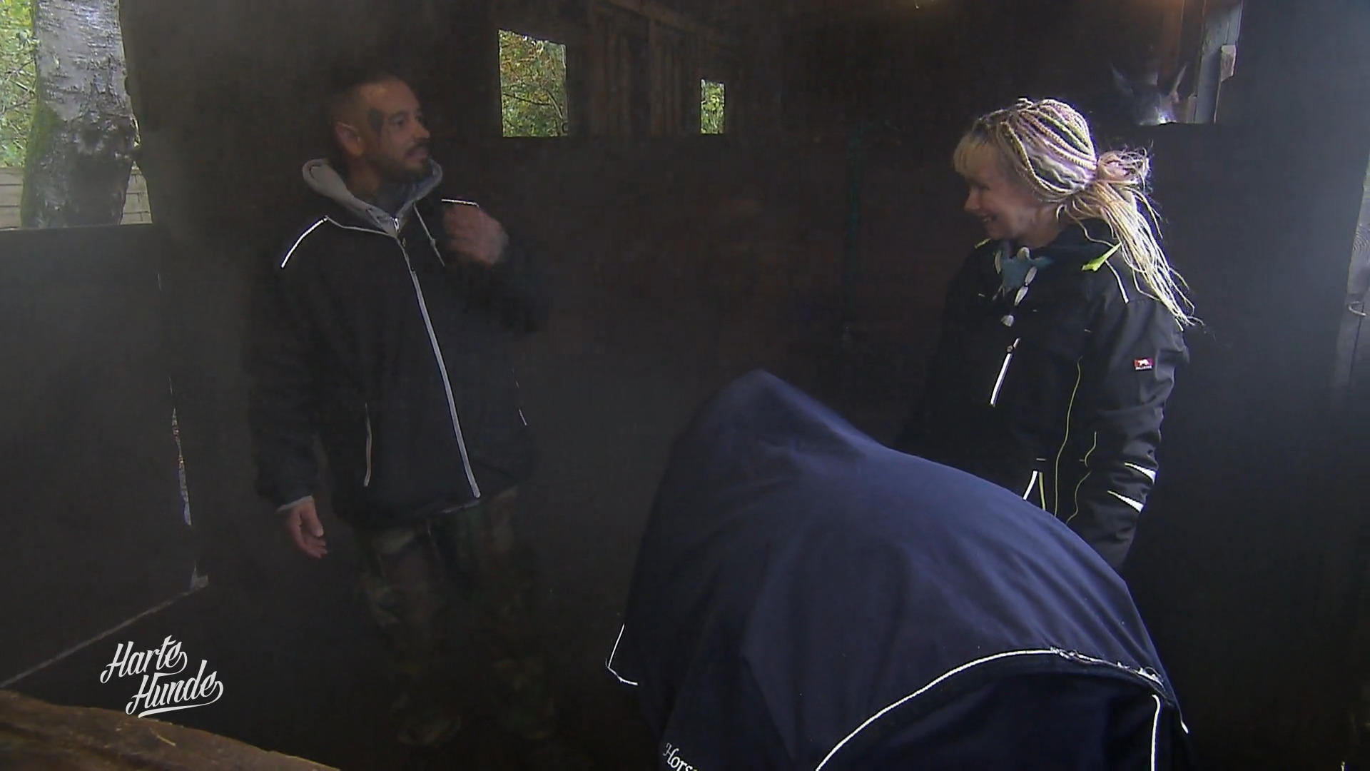 Steve feiert den Salznebel