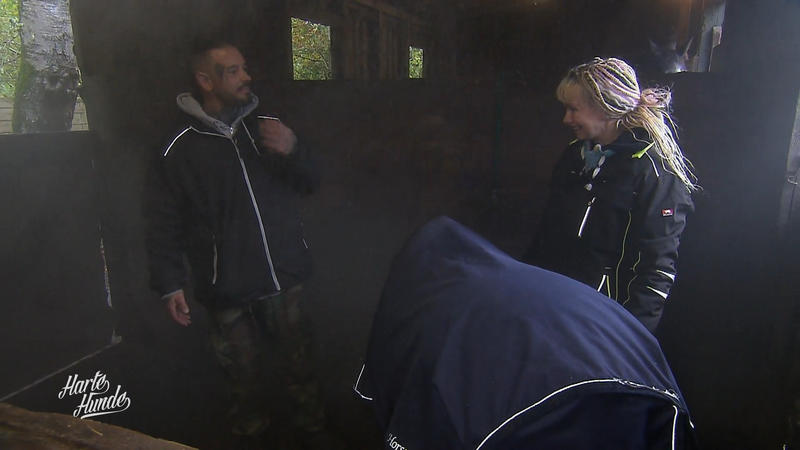 Steve feiert den Salznebel