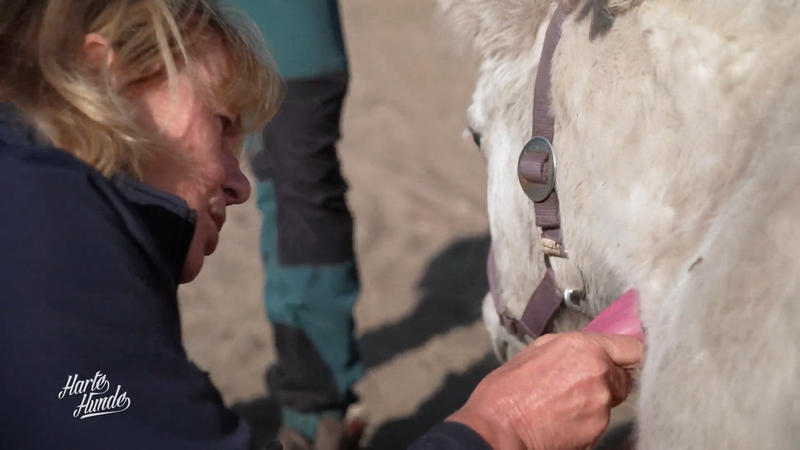 Baustelle läuft – Sorge um Sushi bleibt