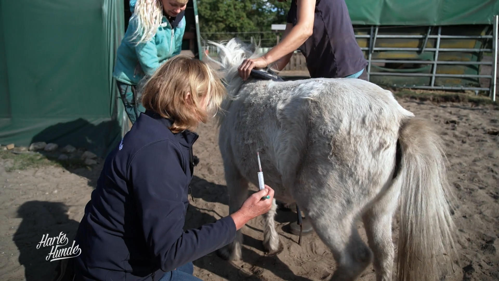 Sonde in den Magen – was steckt hinter Susis Bauchschmerzen?