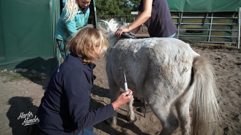 Sonde in den Magen – was steckt hinter Susis Bauchschmerzen?