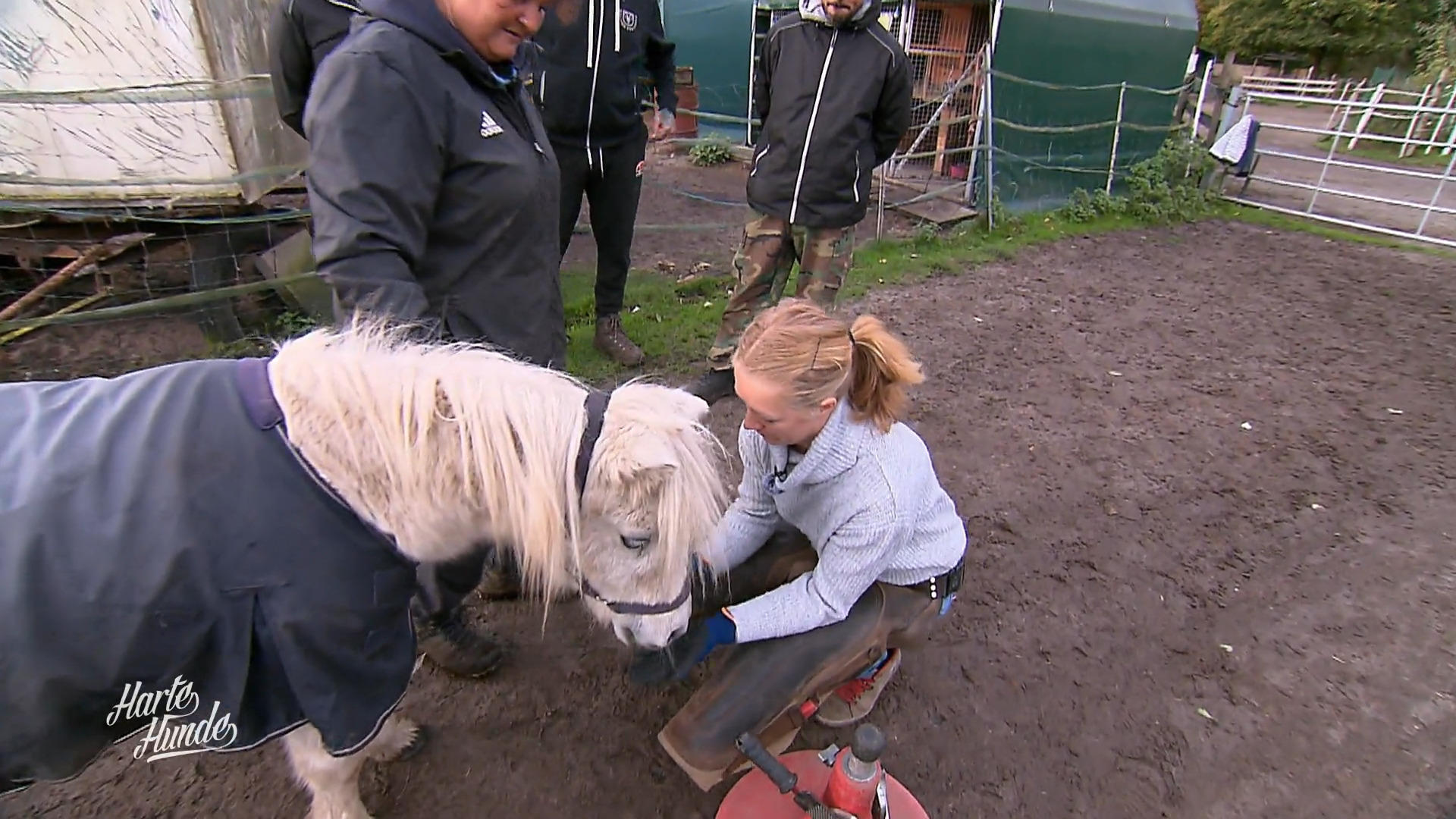 Susi und Trixie bei der Hufschmiedin