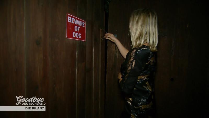 Die Suche nach dem neuen Zuhause