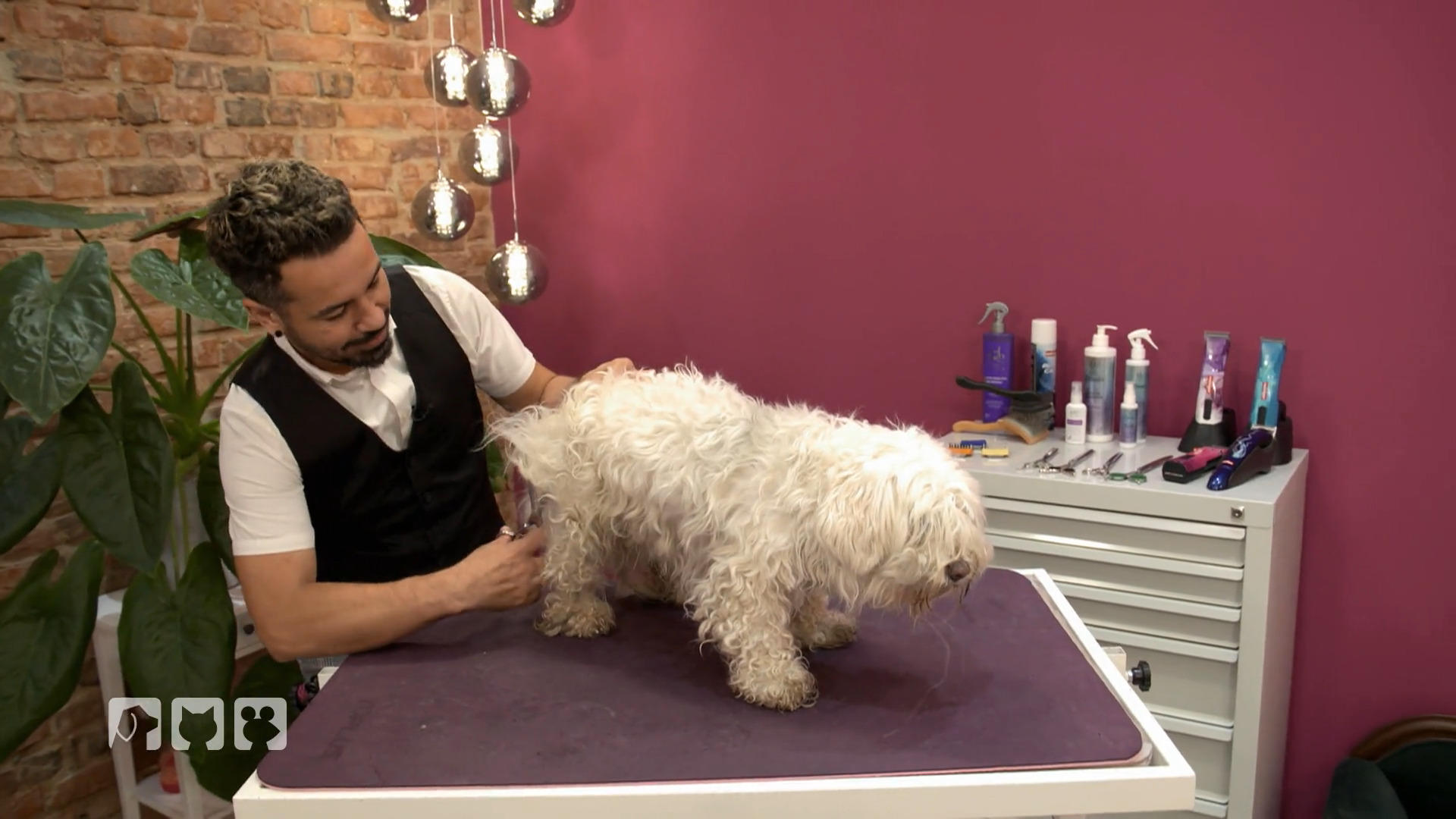 Rumli braucht ein Rettungs-Makeover