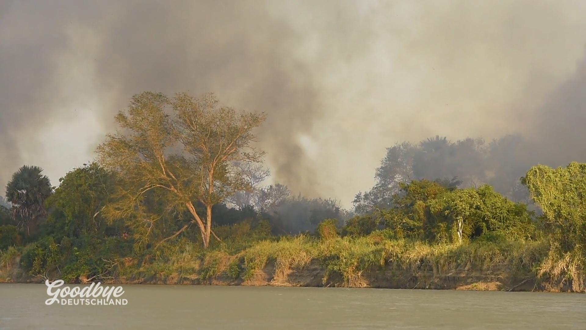 Jenny Kotter in Todesangst
