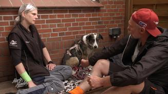 Was hat man dem Tier nur angetan?