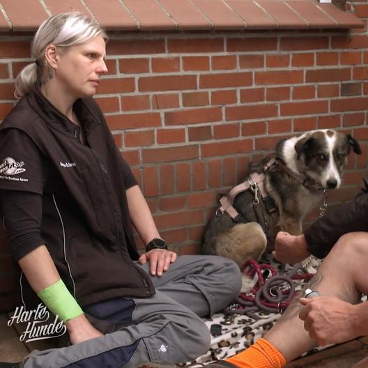 Die dreibeinige Hündin Moni hat panische Angst vor Menschen