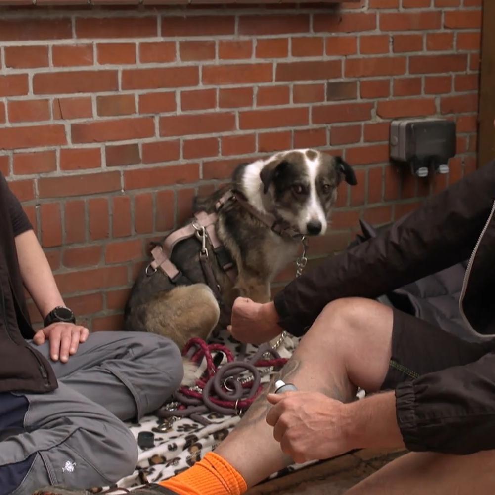 Moni hat panische Angst vor Menschen