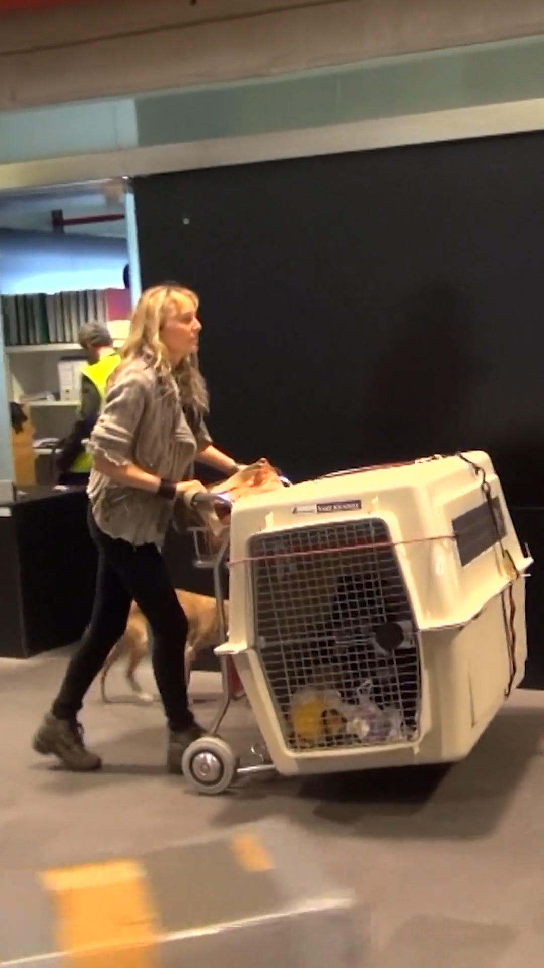 Windhund-Wandern auf La Palma: Schafft Petra den Neuanfang?