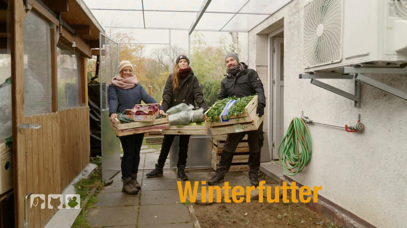 Draußen überwintern – aber richtig