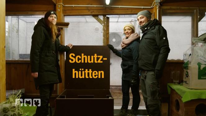 So macht man sein Kaninchengehege winterfest