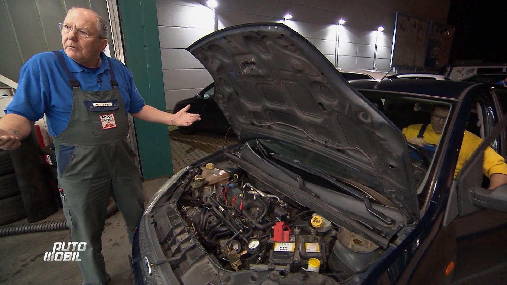 Können die Autodocs den Fiesta retten?