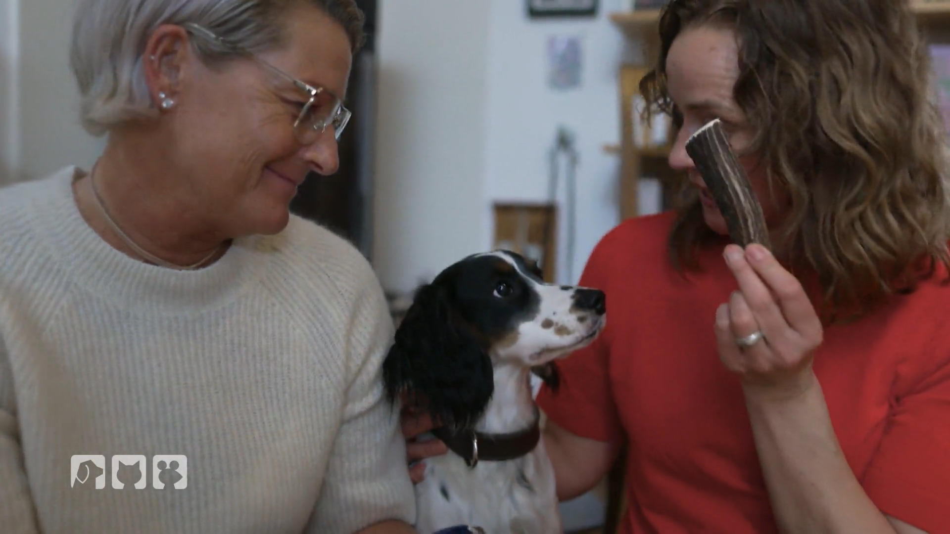 Saubere Zähne, weniger Probleme?