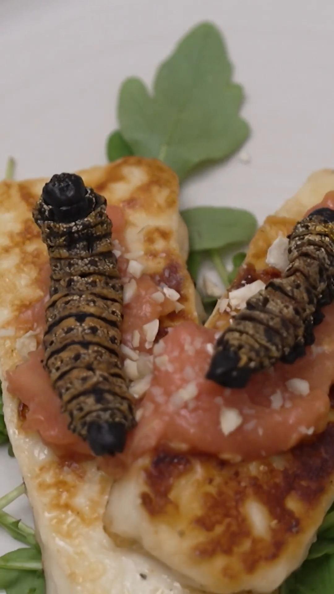 Schmeckt der Konkurrenz die wilde Safari?