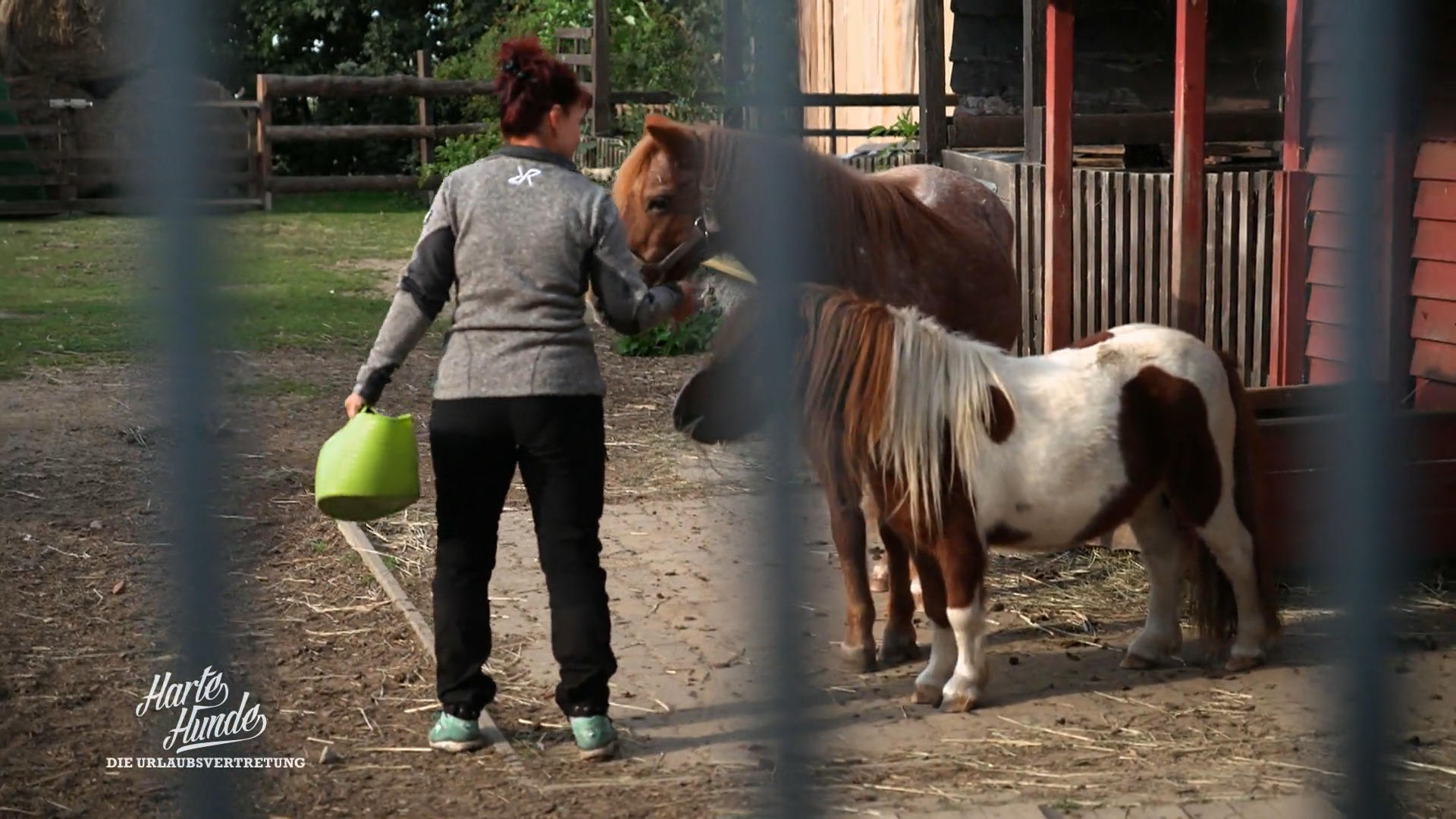Ralf Seeger greift ein: Rettung für Conny und den Hof