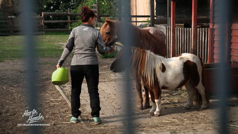 Ralf Seeger greift ein: Rettung für Conny und den Hof