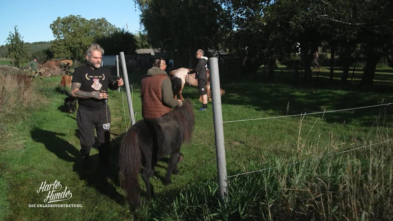 Ralf Seeger legt los: Bewährungsprobe auf dem Hof