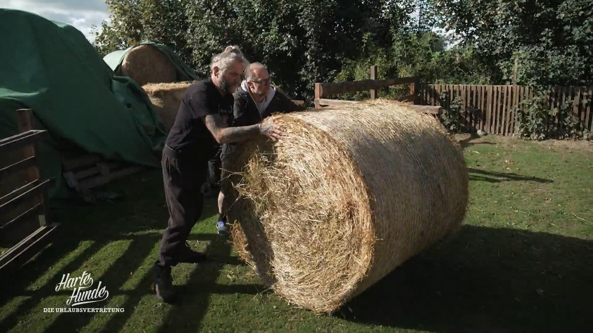 Heuballen-Action: Jetzt zählen die Muskeln der 'Harten Hunde'