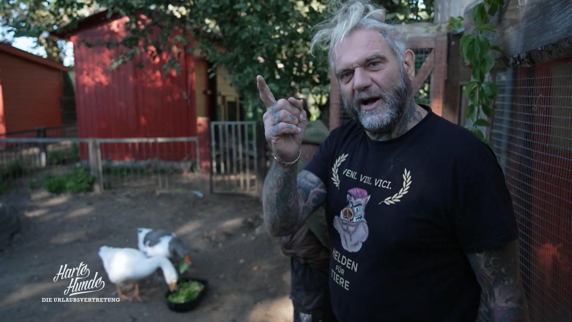 Misstrauen auf dem Hof: Wer setzt sich durch?