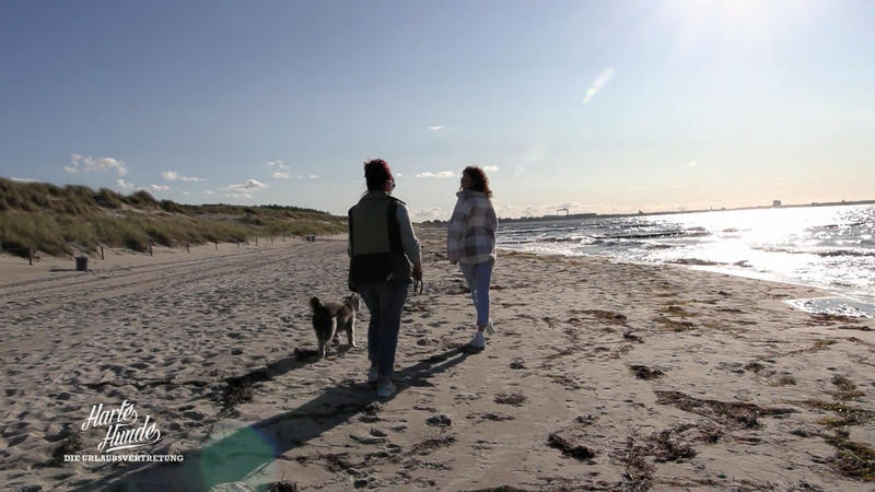 Strand statt Stall: Auszeit mit Hund und Antje