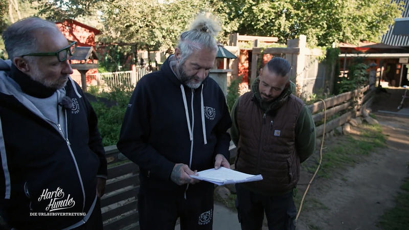 To-do-Marathon: Schaffen die 'Harten Hunde' das?