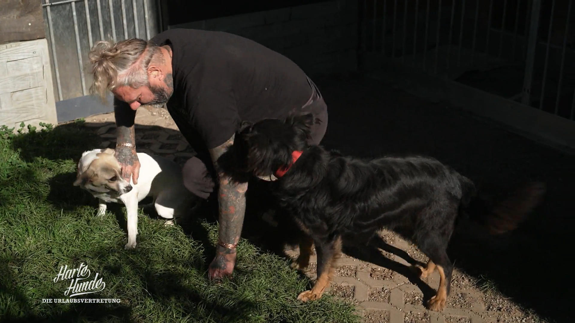 Pixie & Ilka: Schaffen sie den Schritt zurück zum Menschen?