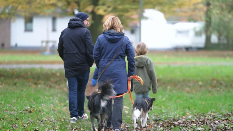 Rumänien-Welpe sucht Vertrauen