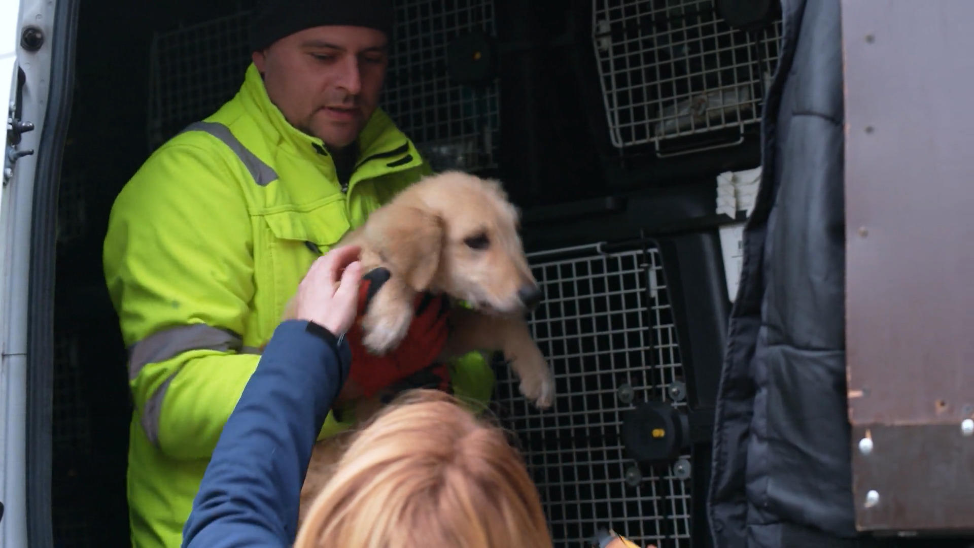 Jabba zieht ein – klappt das Eingewöhnen?