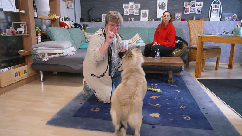 Wenn Csilla nicht dran ist, wird’s grob