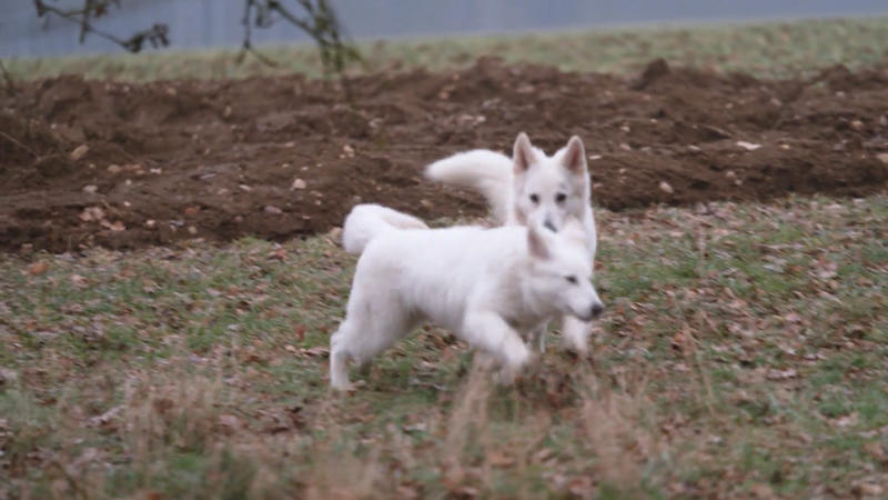 Spielzeit mit Grace – und zuhause läuft’s