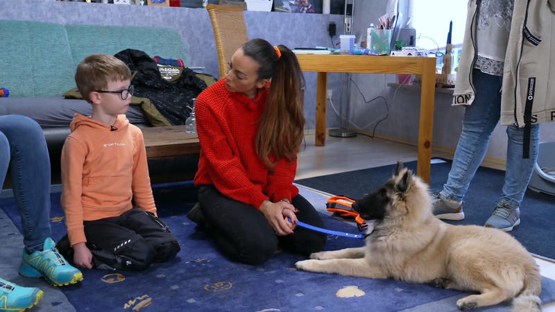 Stoppt Ellen die Beiß-Attacken?