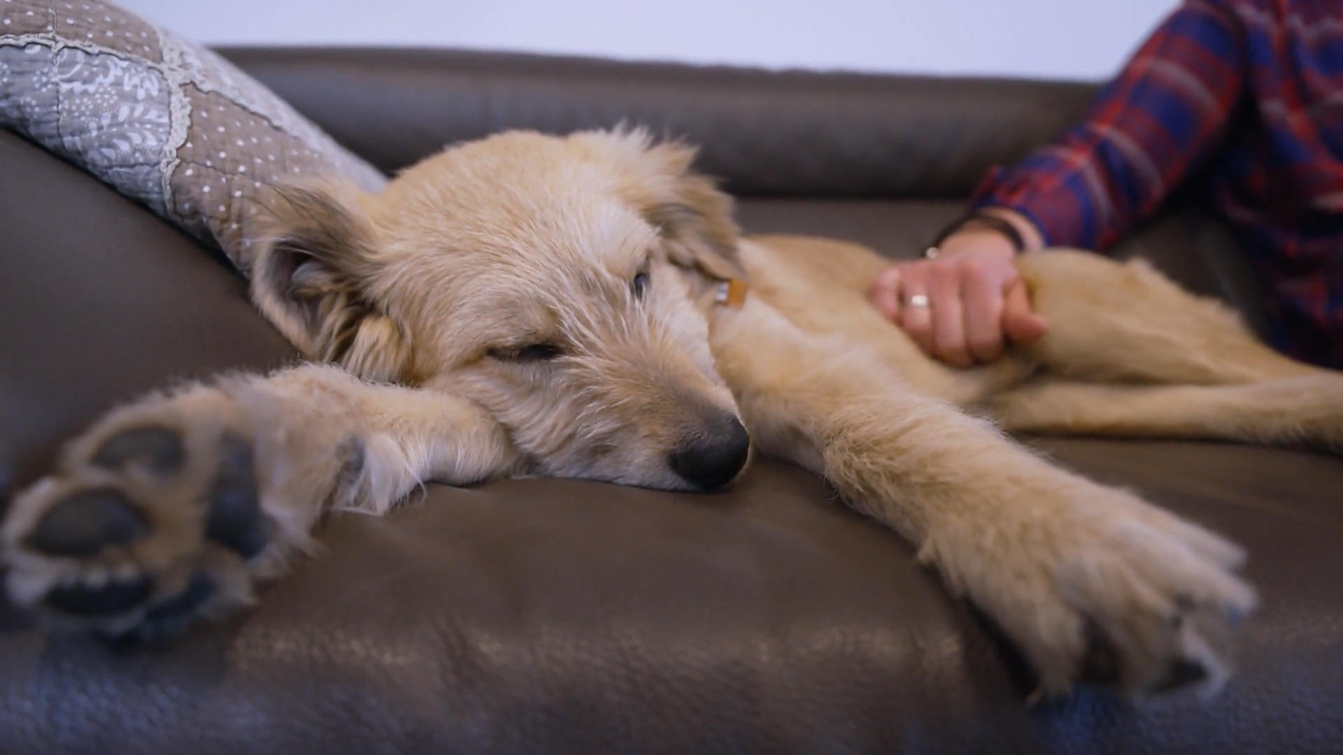 Jabba muss bei Familie Schütz ausziehen