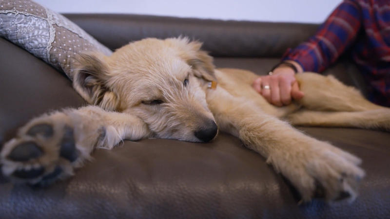 Jabba muss bei Familie Schütz ausziehen