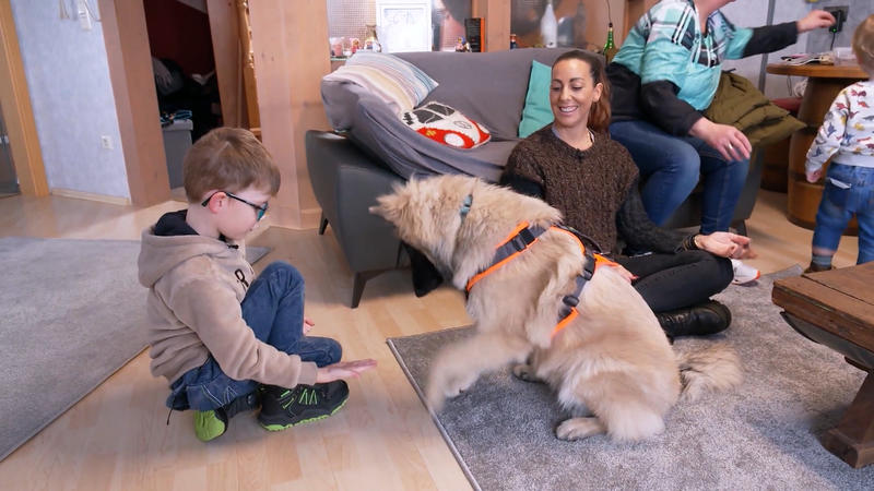 Ist das Schnappen wirklich vorbei?