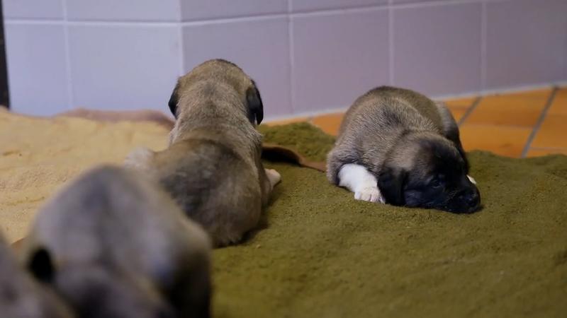 Klein sind sie niedlich